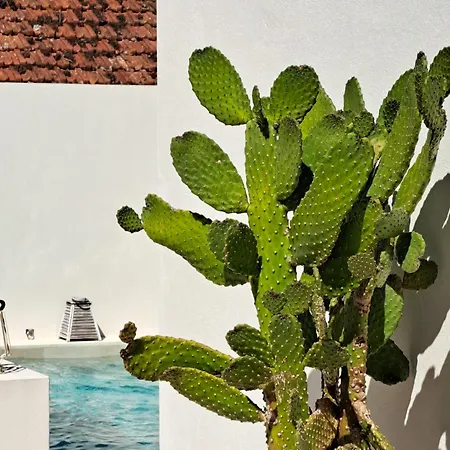 Hébergement de vacances Casas Da Ginja - Private Pool *